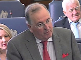 Seanad votes down calls for Ga...